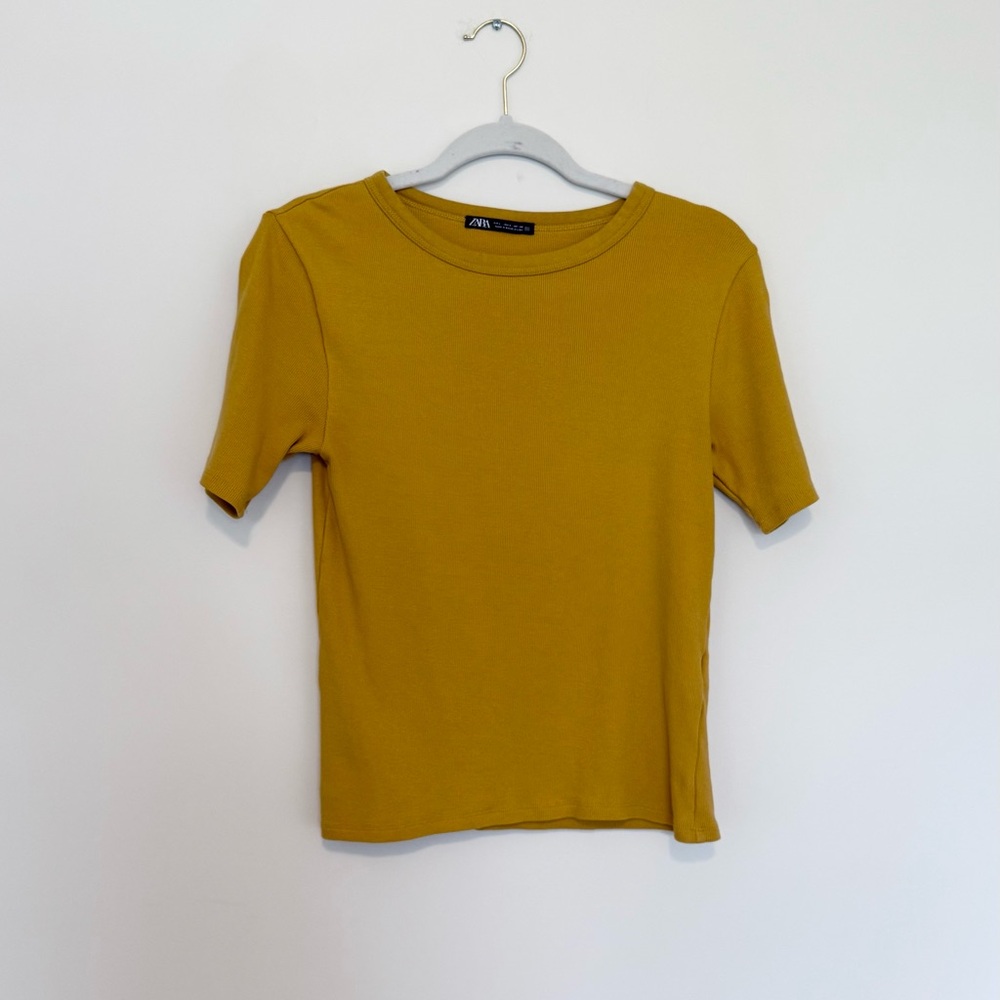 Zara Gold Fitted Short Sleeve Tee